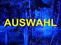 A Auswahl